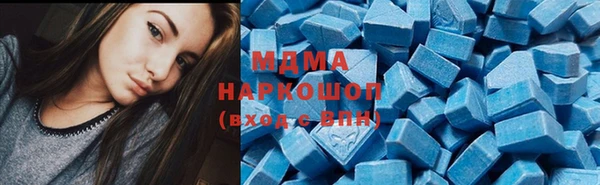прущие грибы Богданович
