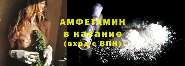 прущие грибы Богданович