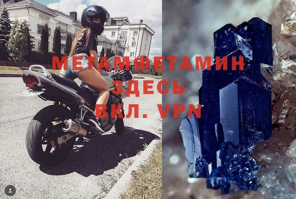 прущие грибы Богданович