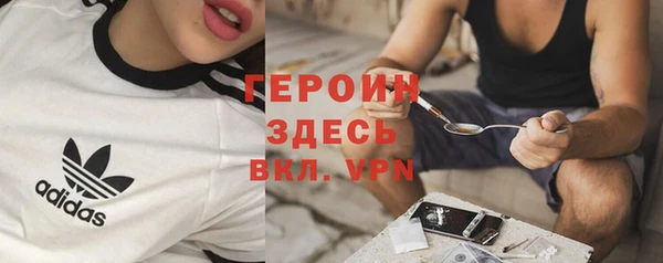 прущие грибы Богданович