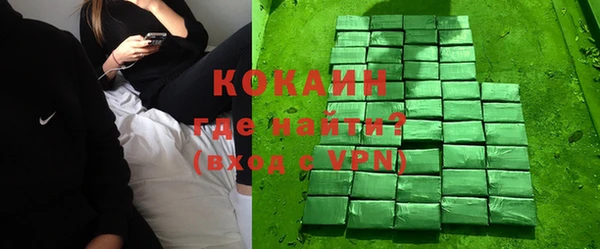 прущие грибы Богданович