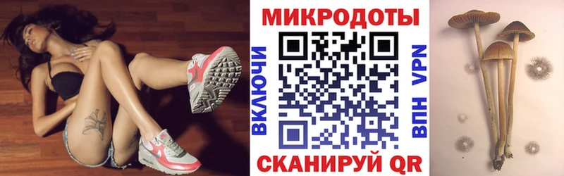 купить   blacksprut tor  Псилоцибиновые грибы Psilocybine cubensis  Мыски 